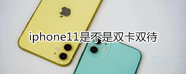 小编教你iphone11支持双卡吗。