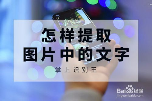 我来分享如何把图片上的文字识别提取出来。