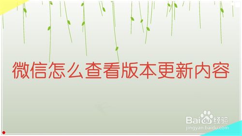 教你微信如何查看版本更新内容。