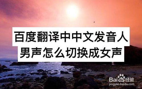小编教你百度翻译中中文发音人男声如何切换成女声。
