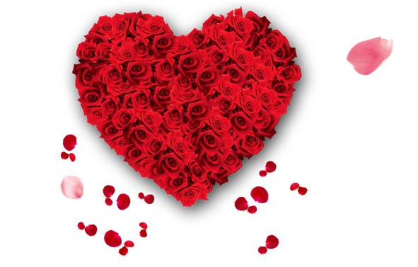 我来分享使用PPT制作表白动画的具体讲解。