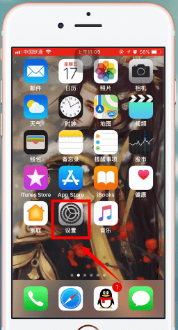 苹果手机打开软件信任的操作过程截图