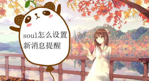 soul消息提醒怎么开启