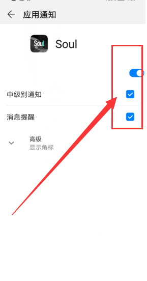soul消息提醒怎么开启