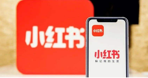 小红书去哪添加好友