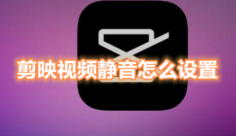 我来分享剪映视频静音怎么设置。