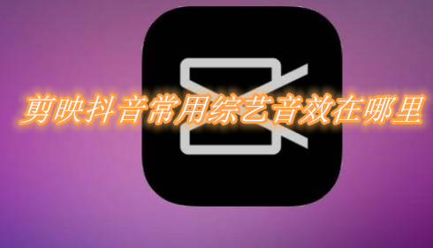 小编分享剪映抖音常用综艺音效在哪里。