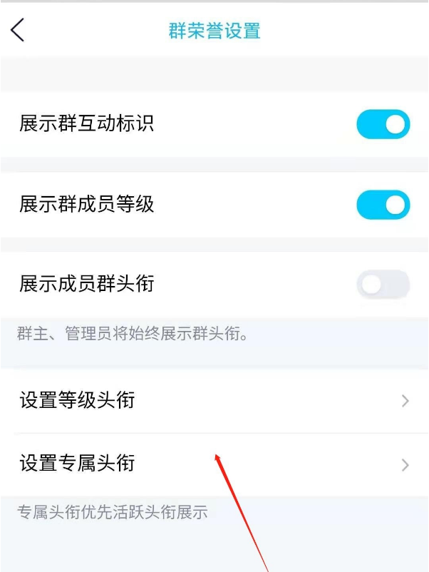 qq群主设置头衔怎么做
