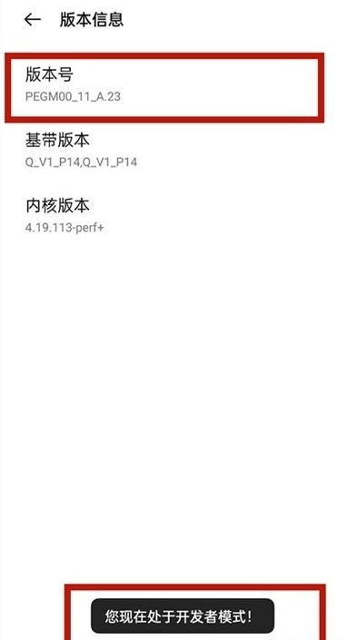 一加9r开发者模式在哪进