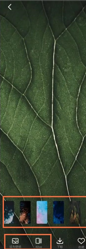 魅族18pro壁纸在哪换