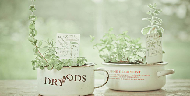 小编教你一言取消收藏方法介绍。