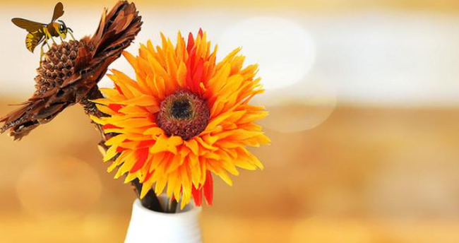 教你一言添加背景教程介绍。